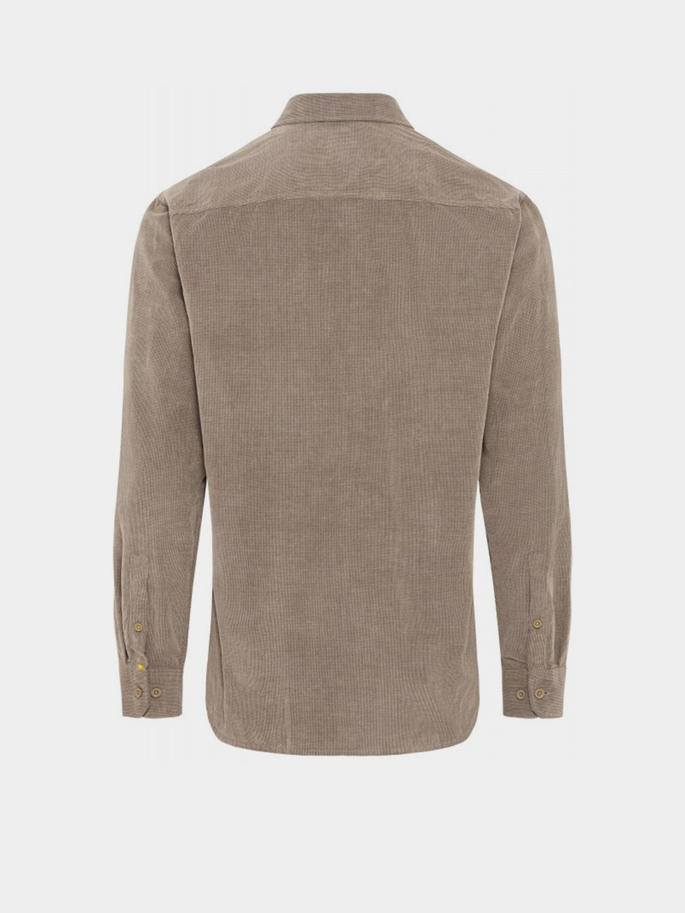 Рубашка Camel Active модель 409111-2S41-03 Cіро-зелений Фото