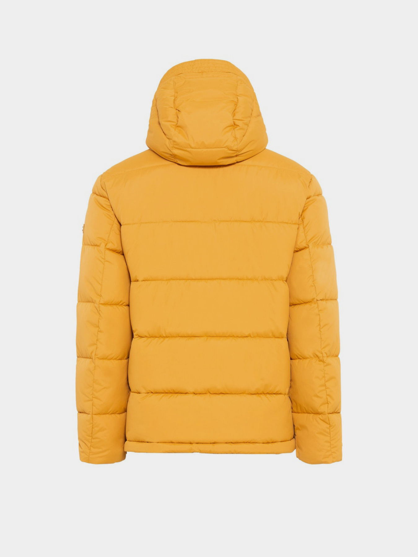 Пуховик Camel Active модель 430140-2X33-62 Жовтий Фото