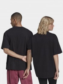 Футболка Adidas ADICOLOR TREFOIL модель H09172 Фото