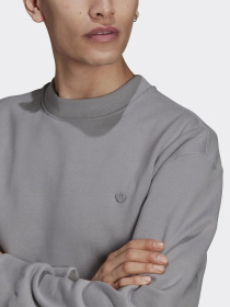 Свитшот Adidas Adicolor Trefoil модель H09175 Фото