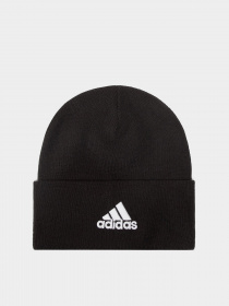 Шапка Adidas Logo Woolie Performance модель FS9022 Фото