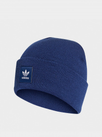 Шапка Adidas Adicolor Originals модель H35508 Фото