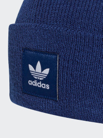 Шапка Adidas Adicolor Originals модель H35508 Фото