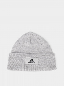 Шапка Adidas Amplifier модель GS2102 Фото