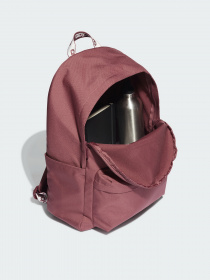 Рюкзаки Adidas Adicolor модель HE9736 Фото