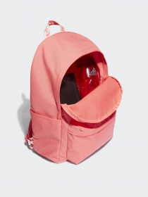 Рюкзаки Adidas Adicolor модель HE9737 Фото