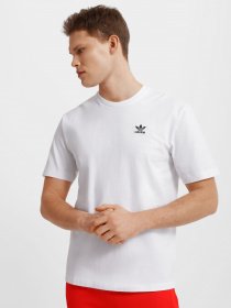 Спортивна футболка Adidas Adicolor Classics Trefoil Boxy модель GN3453 Спортивна футболка Adidas Adicolor Classics Trefoil Boxy модель GN3453 Фото