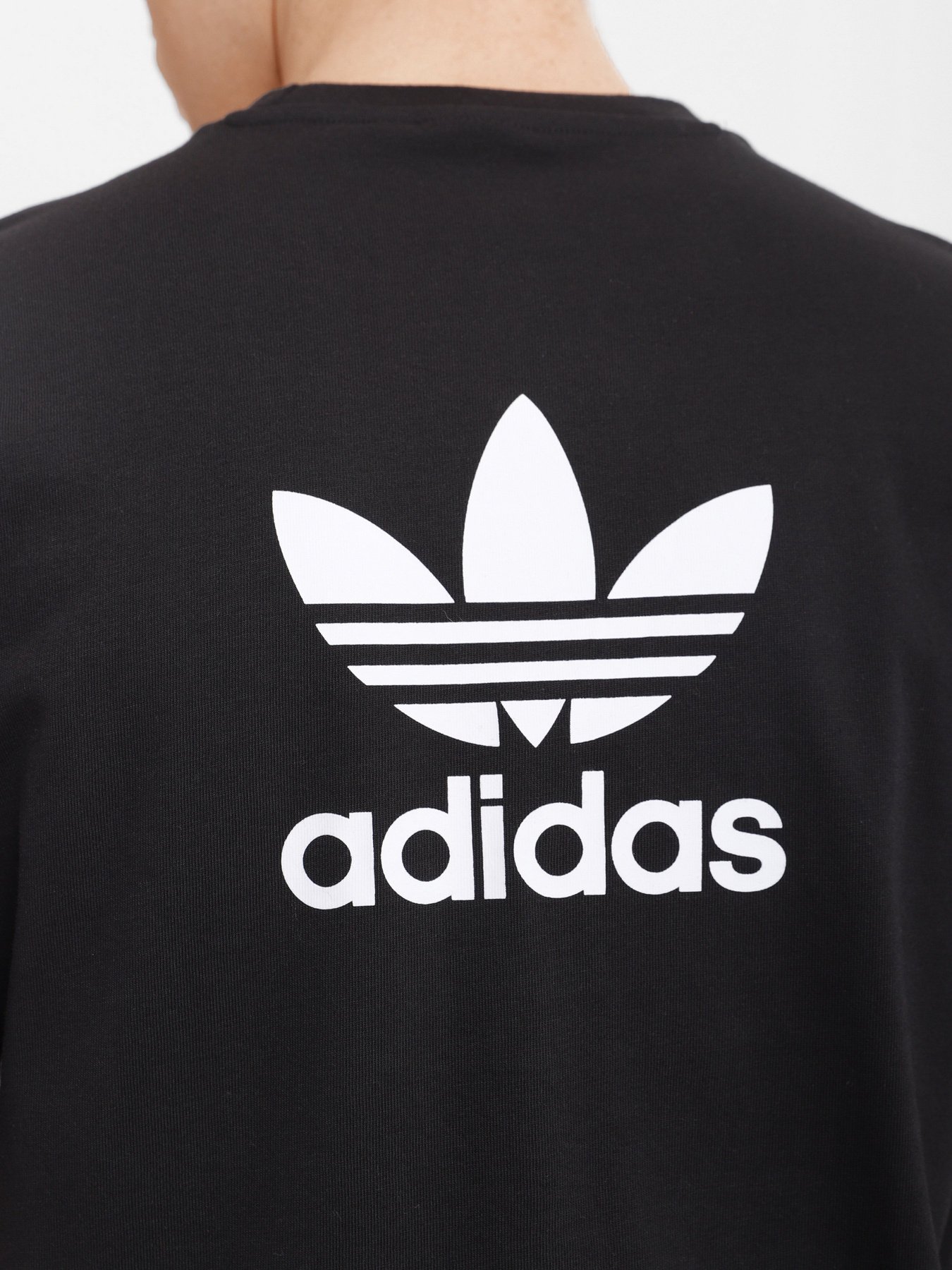 Спортивная футболка Adidas ADICOLOR CLASSICS TREFOIL BOXY модель GN3454 Фото