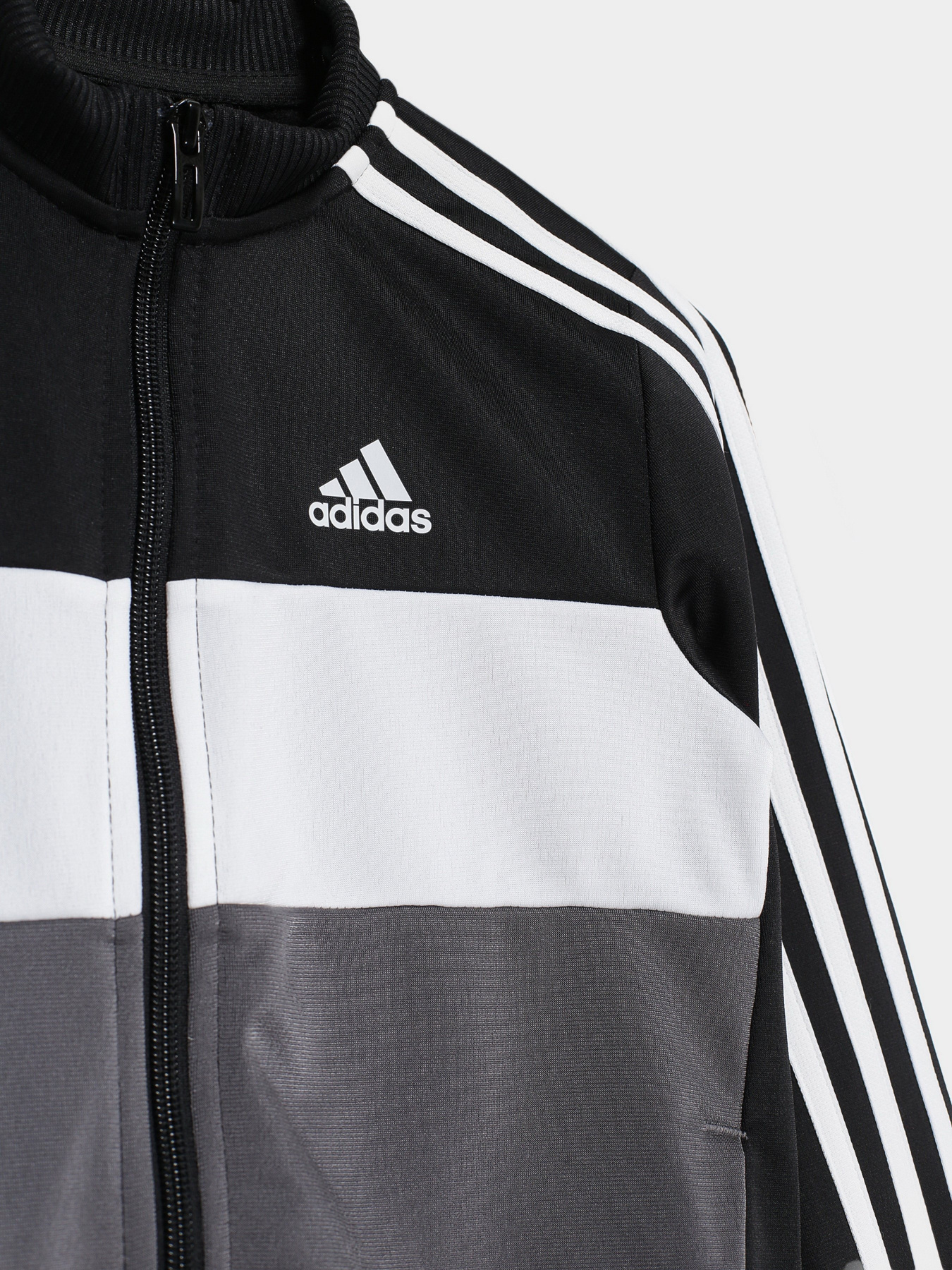 Спортивний костюм Adidas ESSENTIALS LOGO модель GN3970 Фото