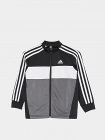 Спортивний костюм Adidas ESSENTIALS LOGO модель GN3970 Фото