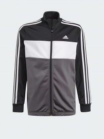 Спортивний костюм Adidas ESSENTIALS LOGO модель GN3970 Фото