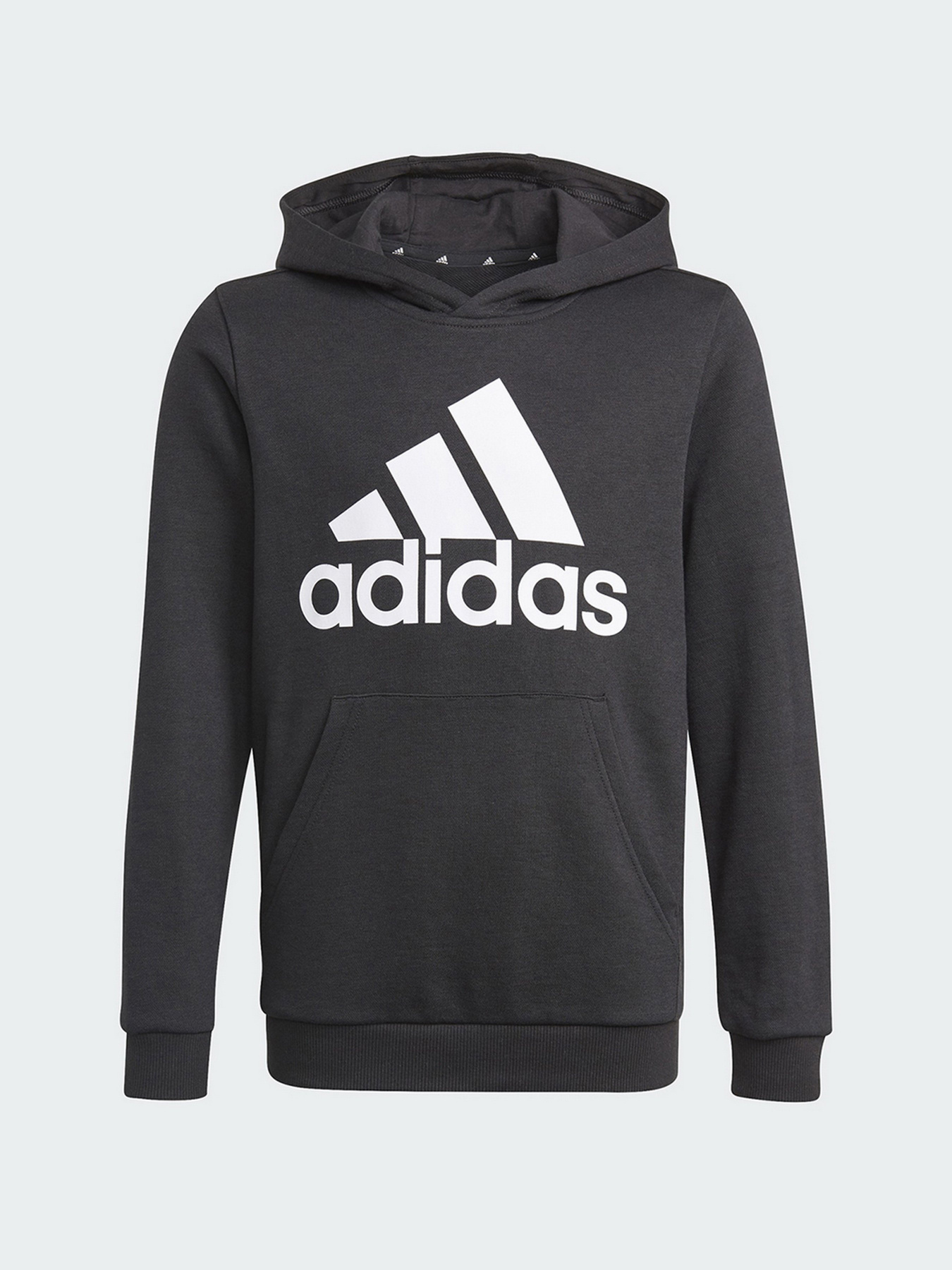 Худи Adidas Essentials Performance модель GN4027 Фото
