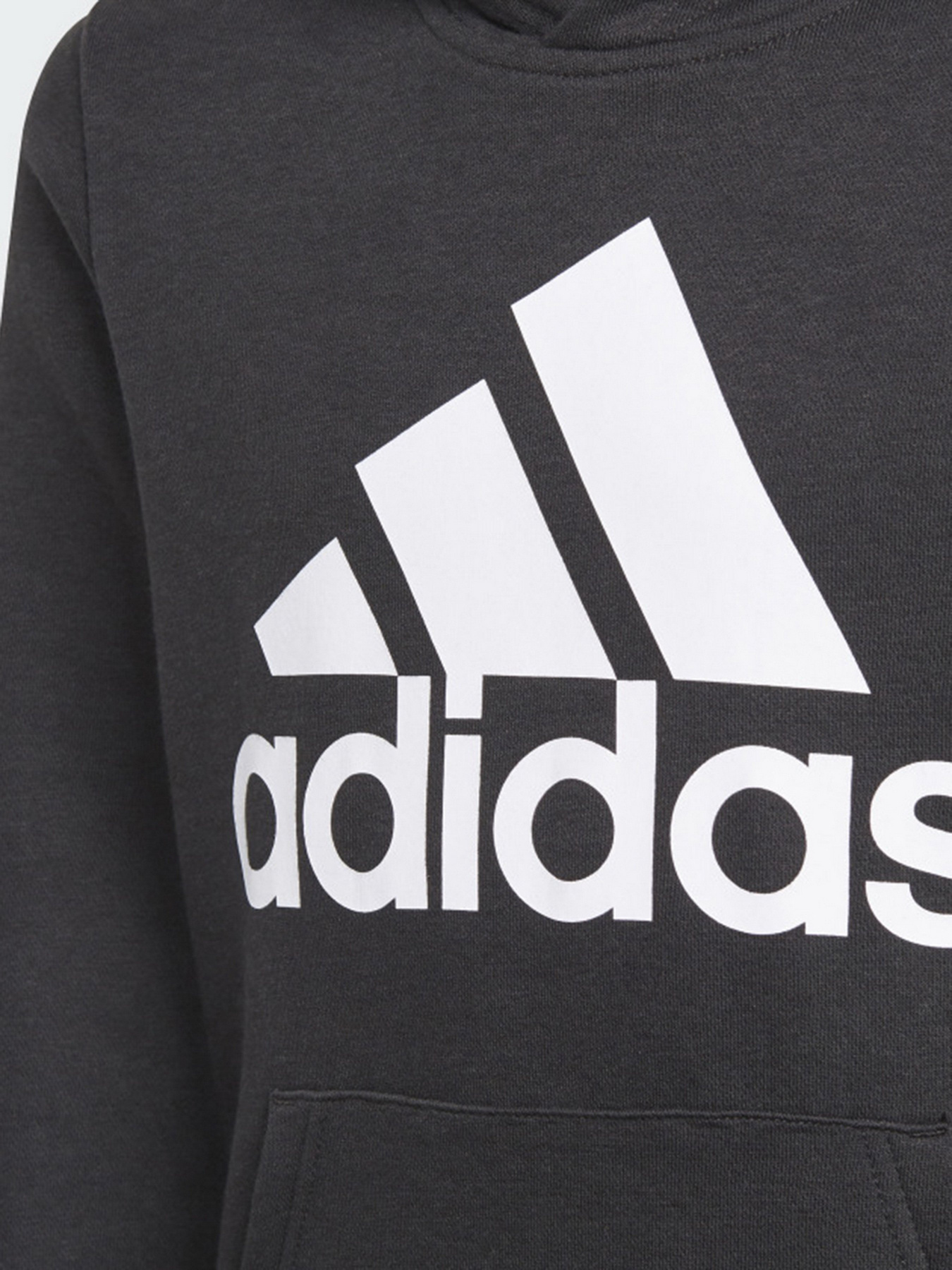 Худи Adidas Essentials Performance модель GN4027 Фото