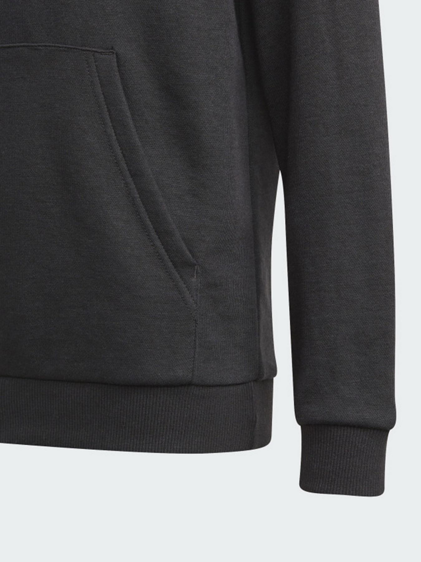 Худи Adidas Essentials Performance модель GN4027 Фото