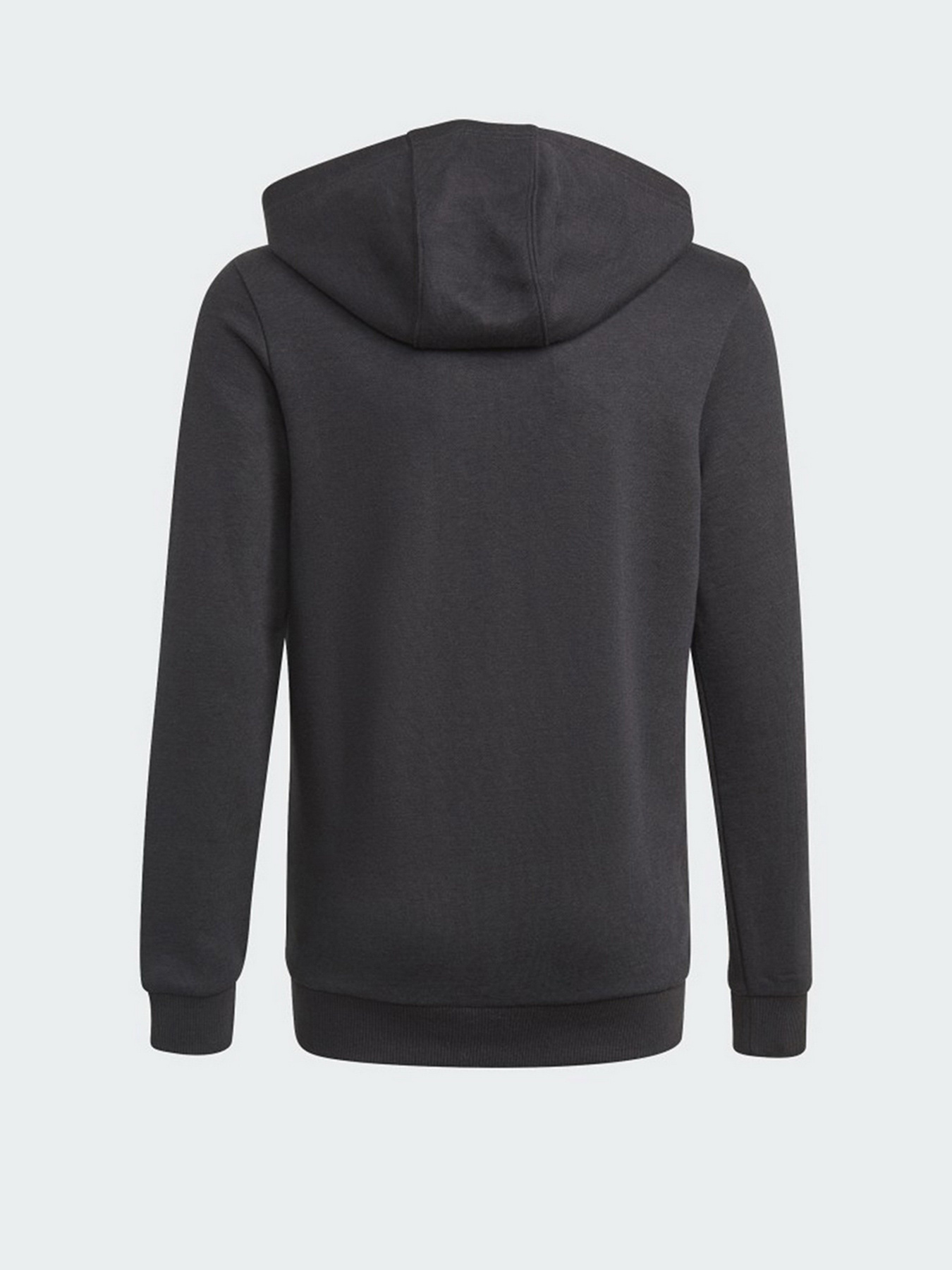 Худи Adidas Essentials Performance модель GN4027 Фото