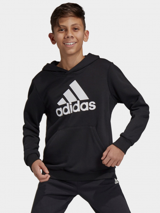 Худі Adidas Essentials Performance модель GN4027 Фото