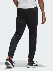 Штаны спортивные Adidas AEROREADY Designed 2 Move модель GT5567 Фото