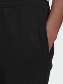 Штаны спортивные Adidas Adicolor Originals модель H09161 Фото