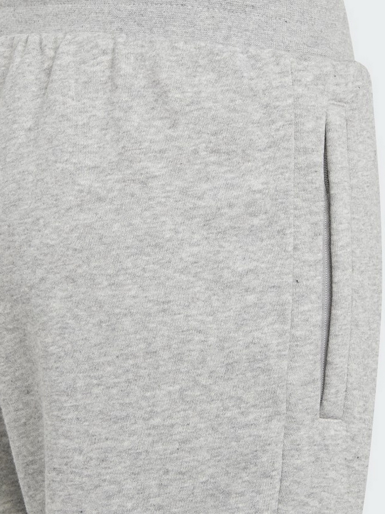 Штаны спортивные Adidas Adicolor модель H32407 Фото