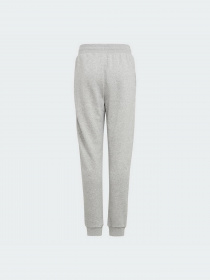 Штаны спортивные Adidas Adicolor модель H32407 Фото