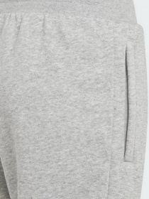 Штаны спортивные Adidas Adicolor модель H32407 Фото