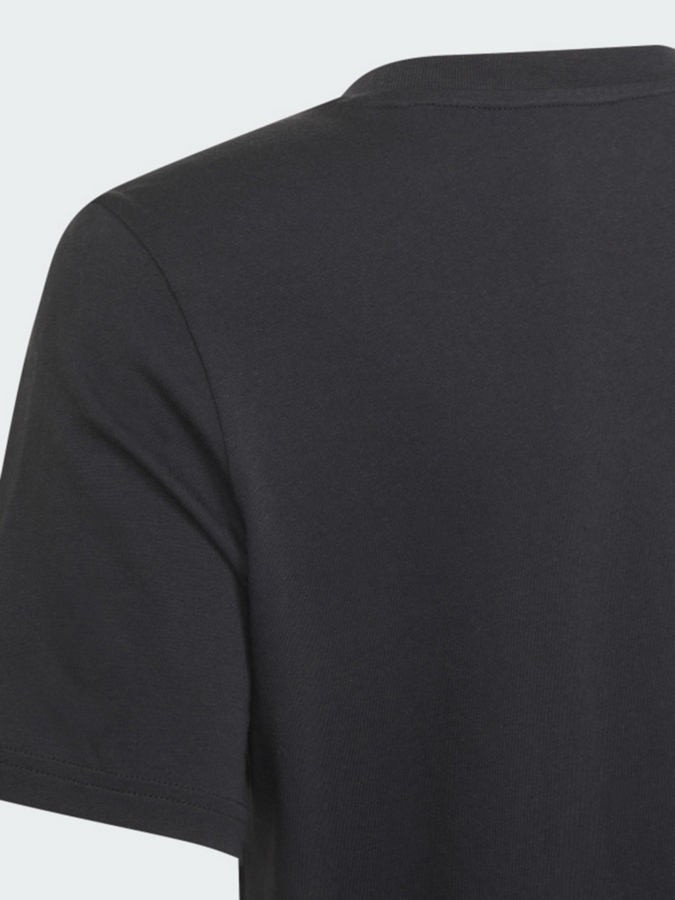 Футболка Adidas Adicolor модель H32409 Фото