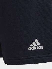 Повсякденні шорти Adidas ARKD3 модель H59759 Фото