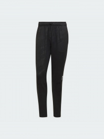 Штаны спортивные Adidas Training модель H61175 Фото