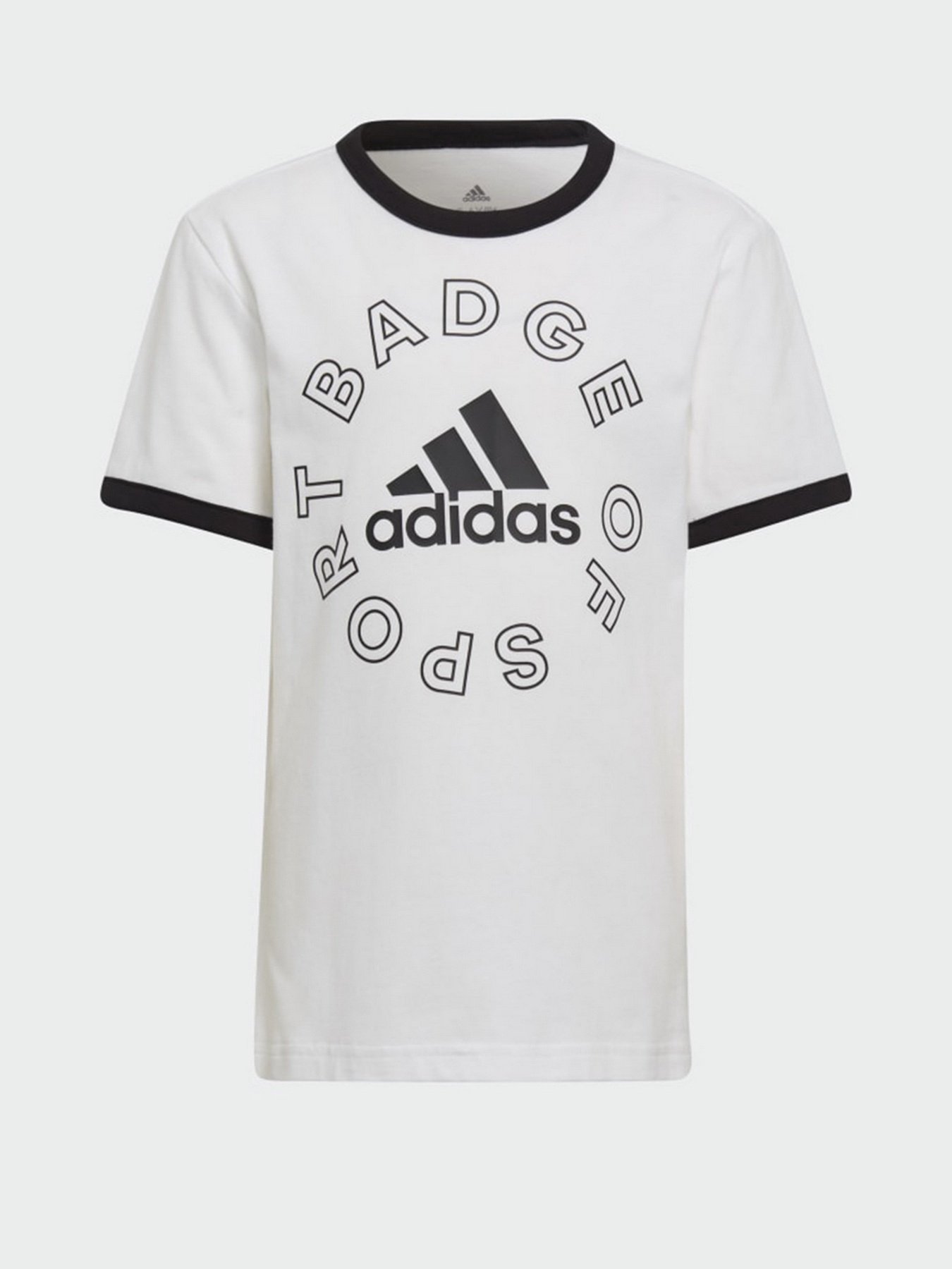 Спортивний комплект Adidas Essentials Logo модель H65801 Фото