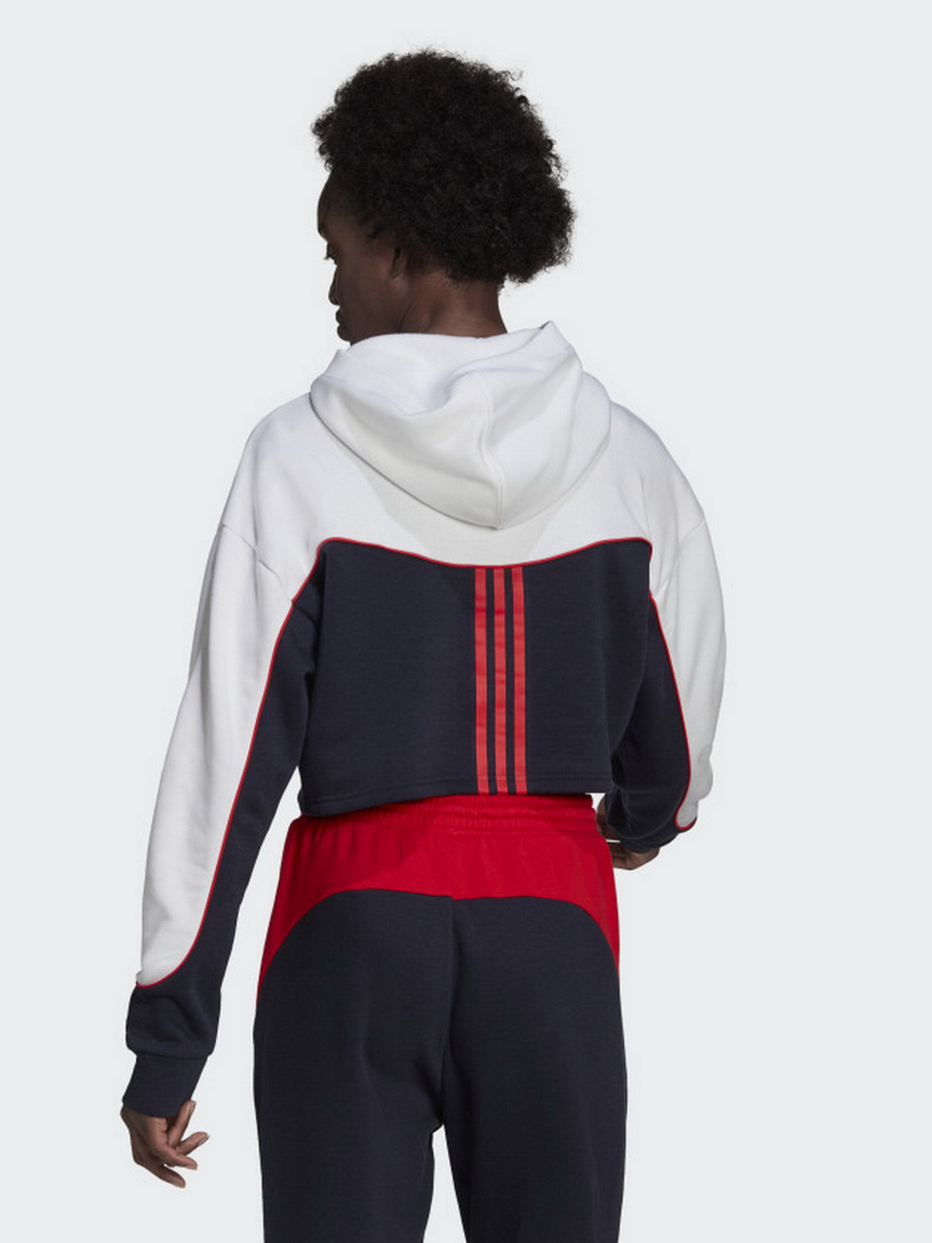 Худи Adidas Essentials Colorblock 3-Stripes модель HA6619 Фото