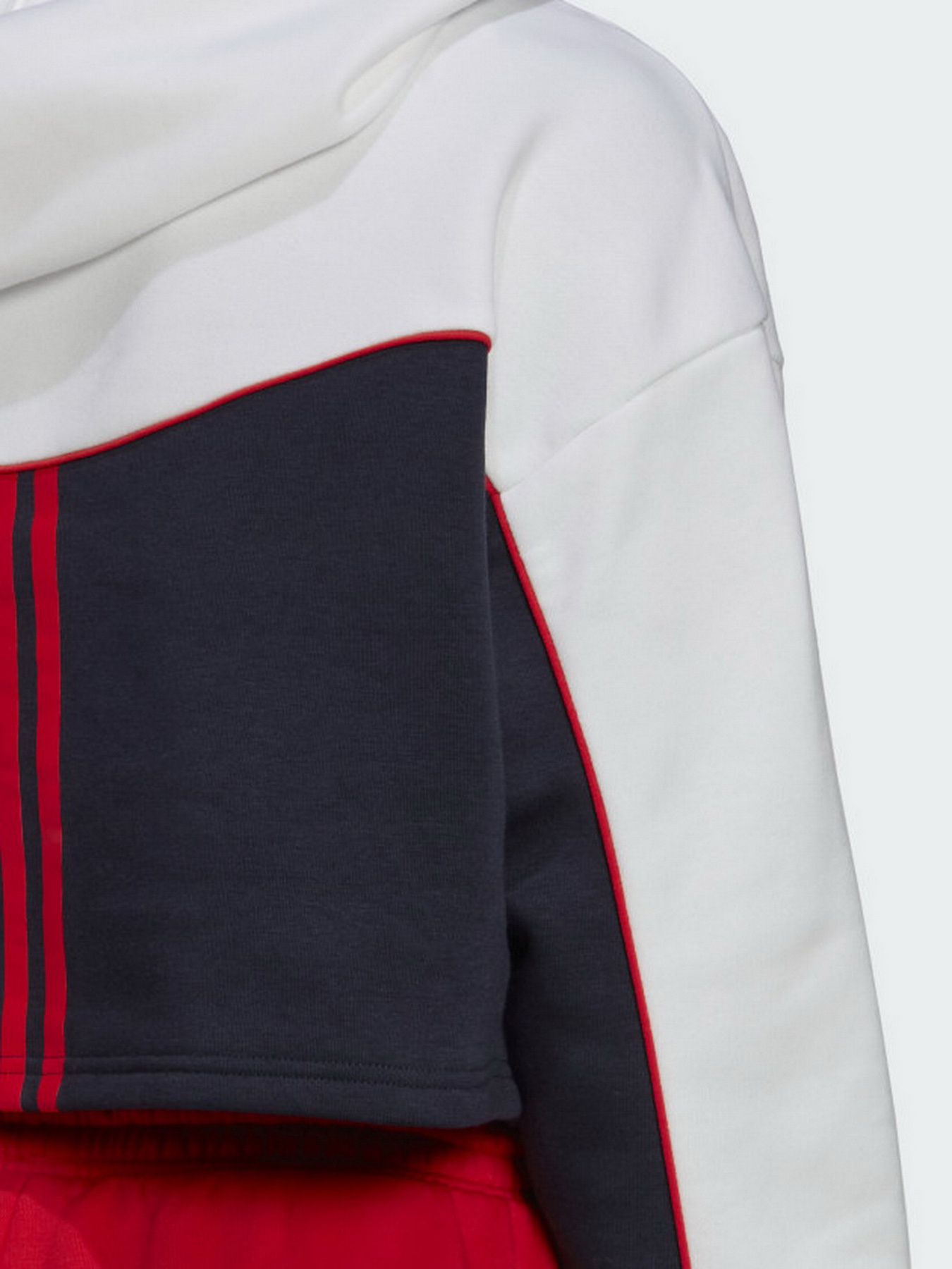 Худи Adidas Essentials Colorblock 3-Stripes модель HA6619 Фото