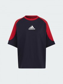 Футболка Adidas Essentials Colorblock Boyfriend модель HA6620 Фото