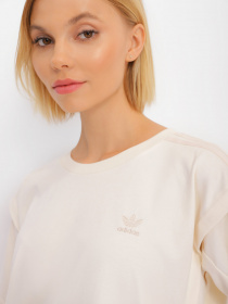 Футболка Adidas ADICOLOR CLEAN CLASSICS модель HC2013 Фото