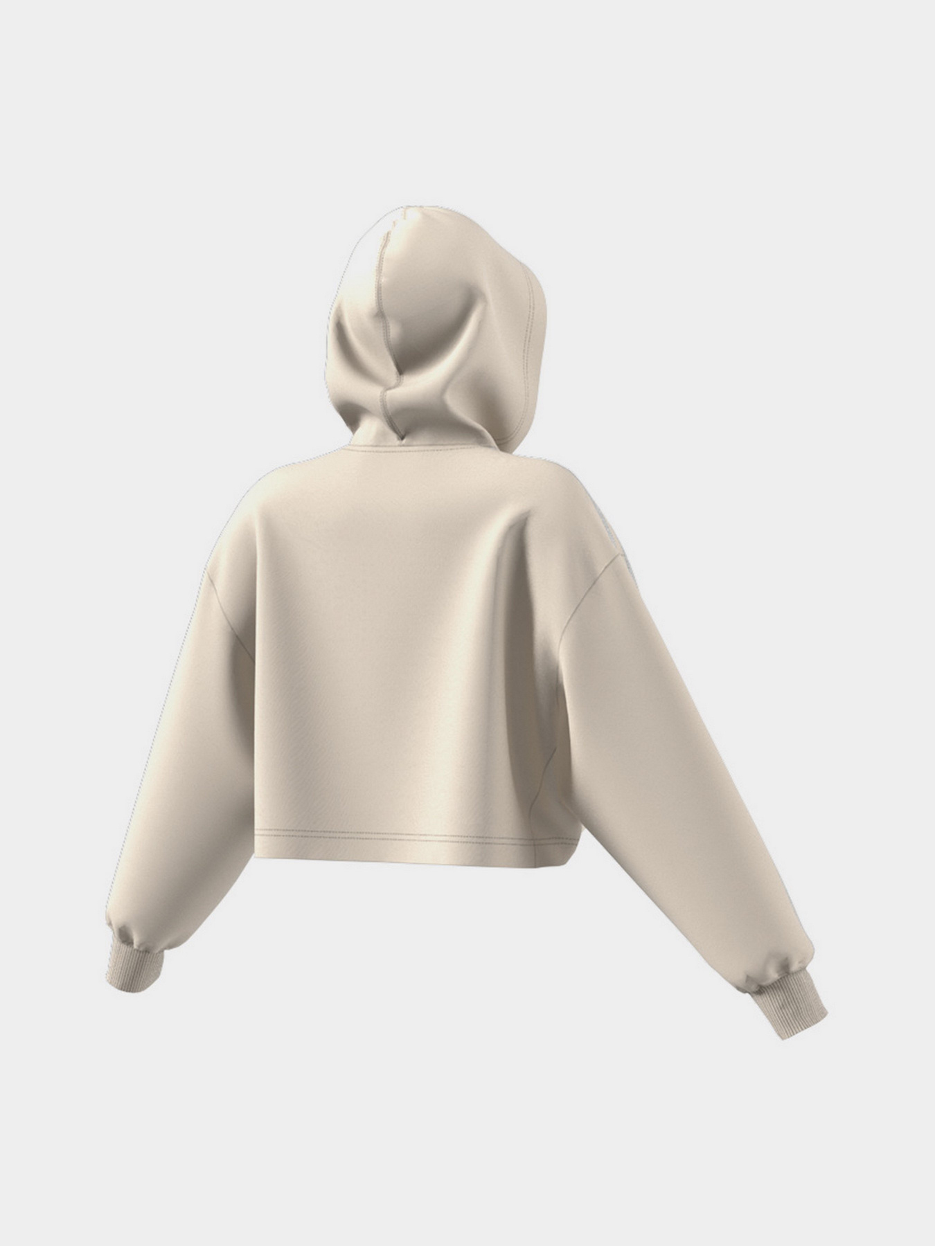 Худі Adidas Adicolor Classics модель HC2018 Фото