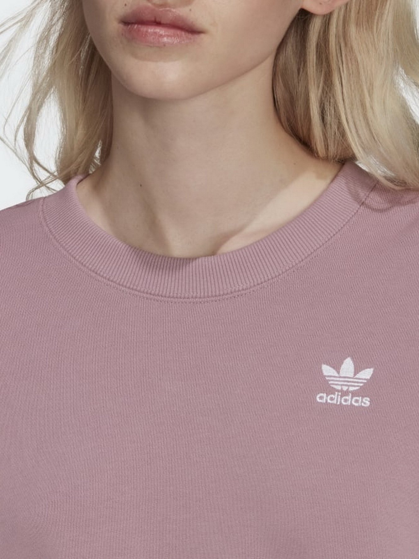 Свитшот Adidas Adicolor Classics модель HC2027 Фото