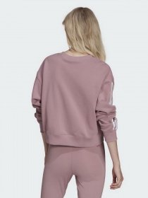 Свитшот Adidas Adicolor Classics модель HC2027 Фото