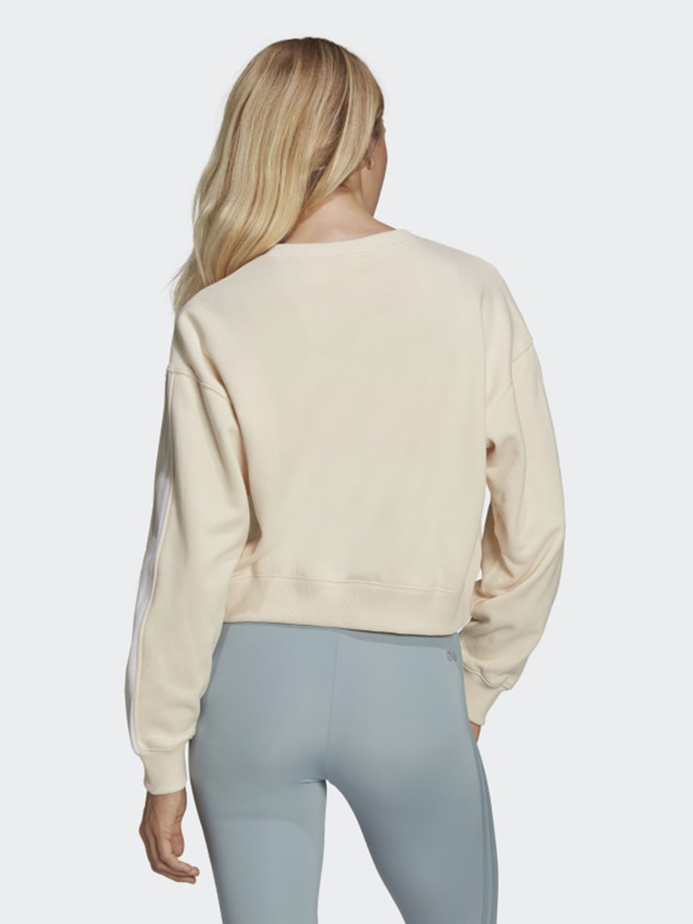 Свитшот Adidas Adicolor Classics модель HC2049 Фото