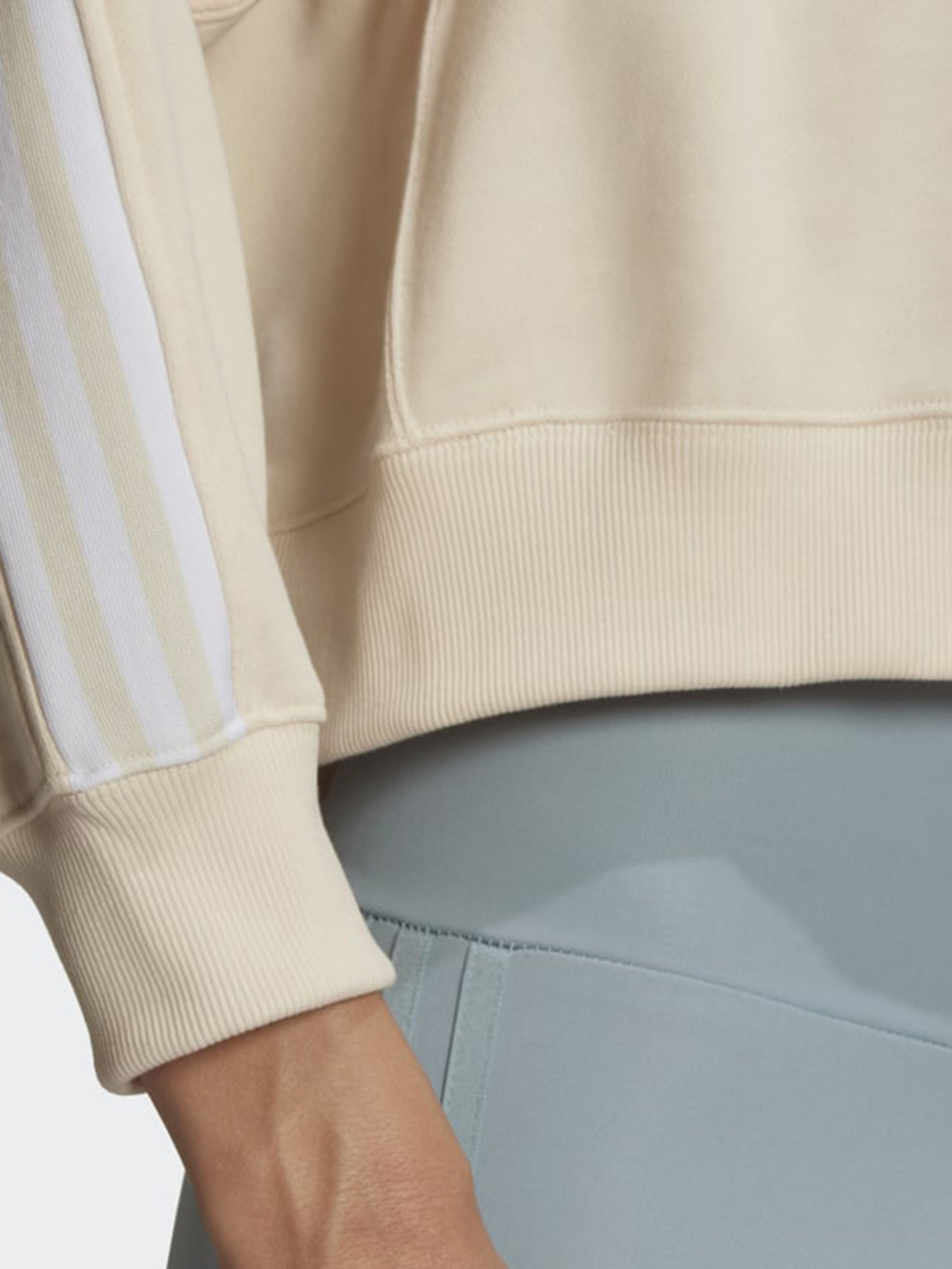 Свитшот Adidas Adicolor Classics модель HC2049 Фото