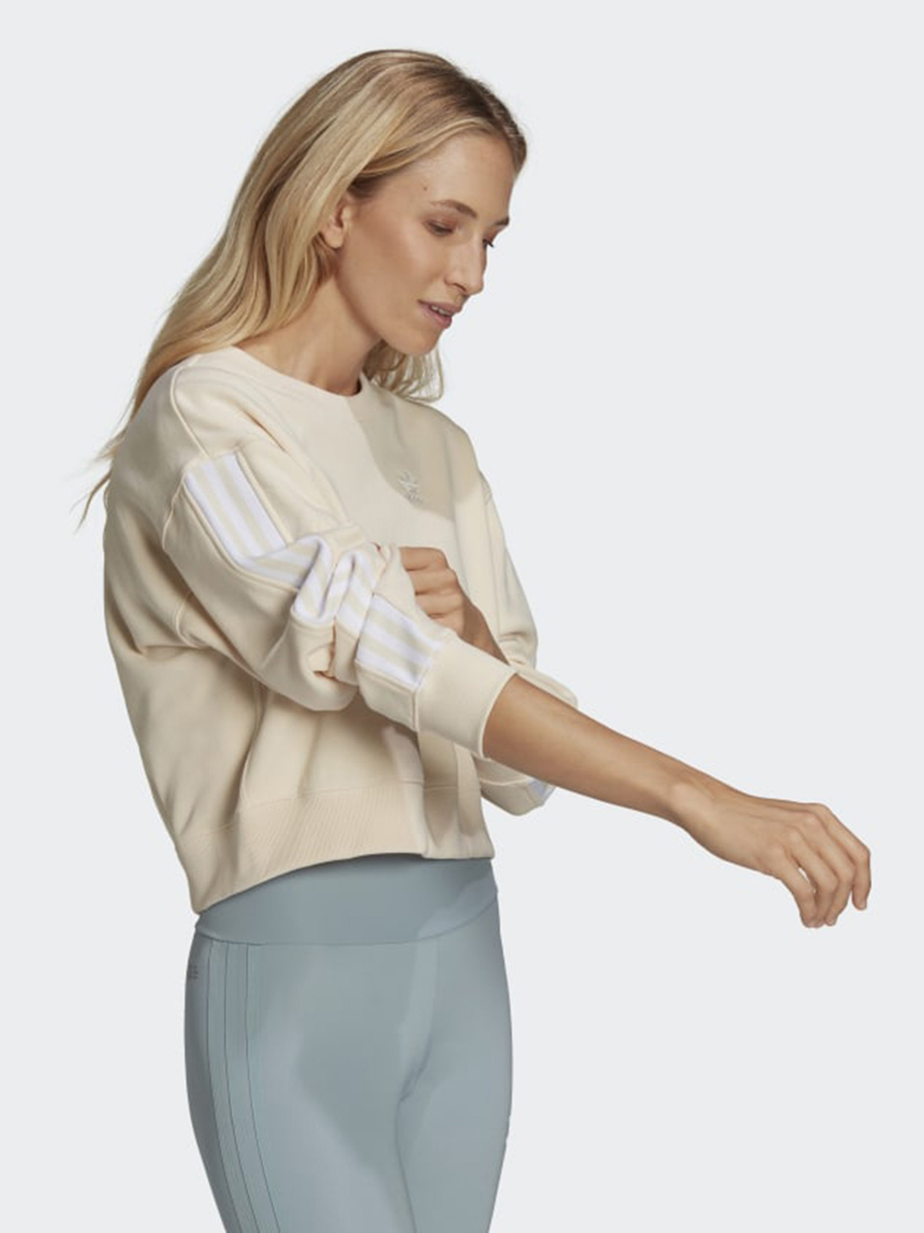 Свитшот Adidas Adicolor Classics модель HC2049 Фото