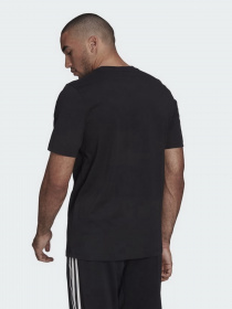 Спортивная футболка Adidas Adicolor Spinner модель HC4487 Фото