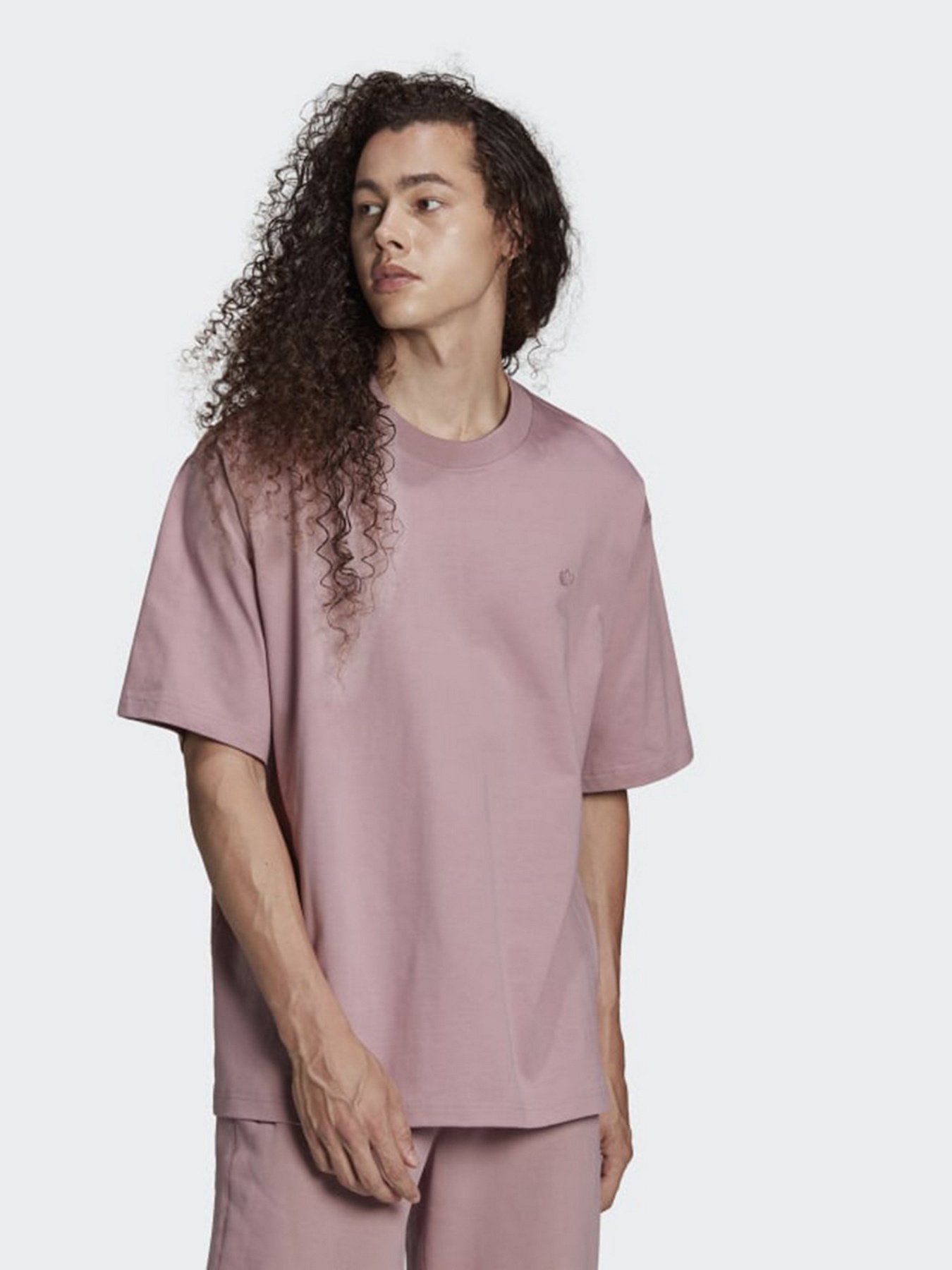 Футболка Adidas Adicolor Trefoil модель HC4515 Фото