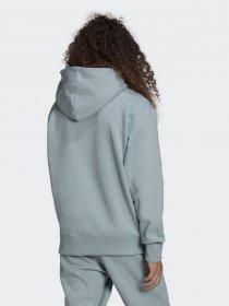 Худи Adidas Adicolor 3d Trefoil модель HC4522 Фото