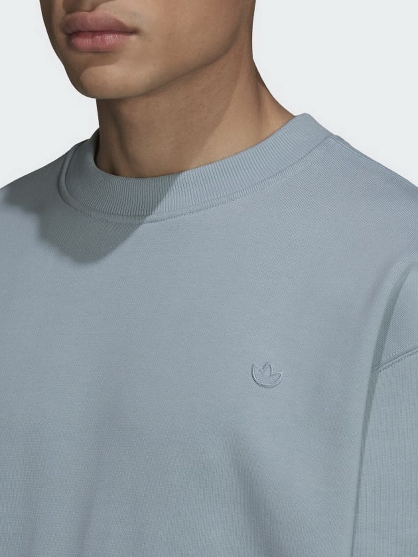 Свитшот Adidas Adicolor Trefoil модель HC4527 Фото