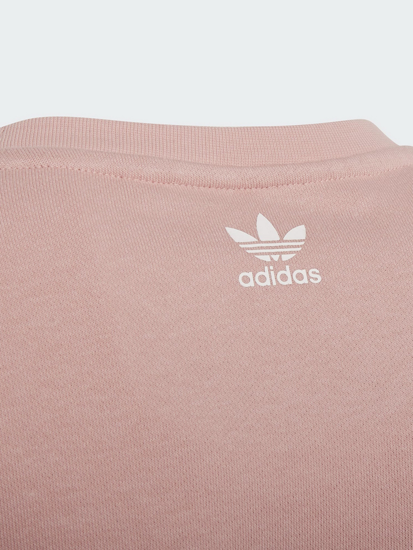 Свитшот Adidas Graphic Originals модель HC4559 Фото