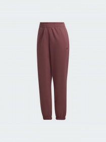 Штаны спортивные Adidas Adicolor модель HC7097 Фото