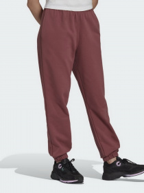 Спортивні штани Adidas Adicolor модель HC7097 Фото