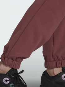 Спортивні штани Adidas Adicolor модель HC7097 Фото