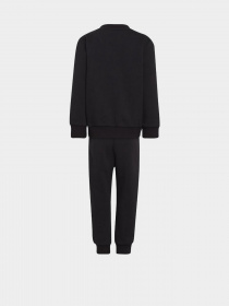 Спортивный костюм Adidas Adicolor Crew модель HC9512 Фото