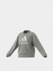 Свитшот Adidas Essentials Logo Loose модель HD1753 Фото