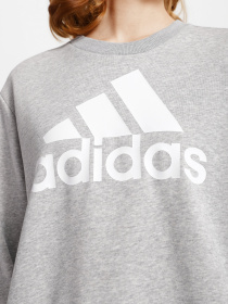 Світшот Adidas Essentials Logo Loose модель HD1753 Фото